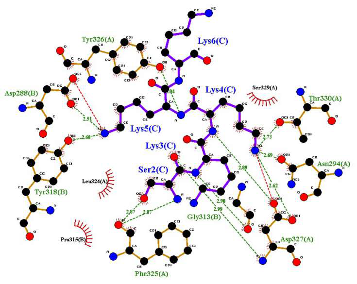 Figure 4 — molecular docking interaction between vaccine construct and TLR2 receptor